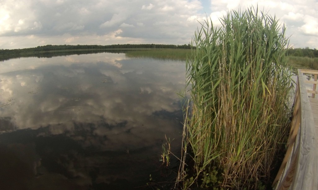 Jezioro Moszne